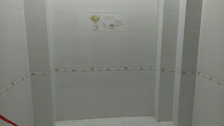 河北內墻磚 瓷片 (21)