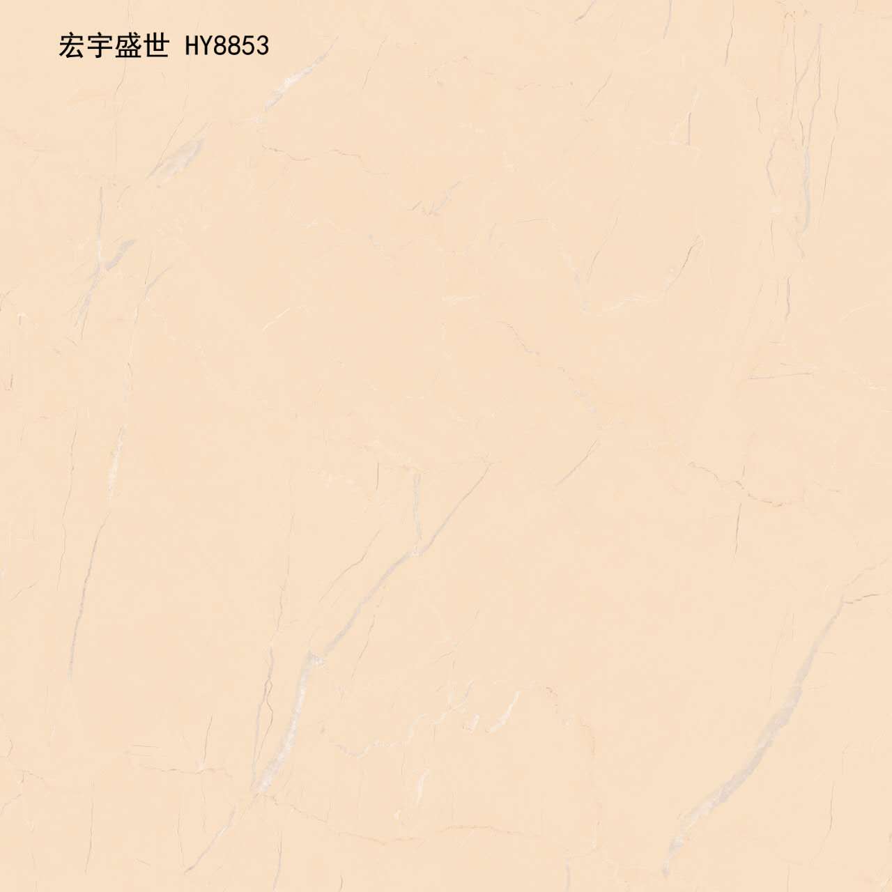 高邑瓷磚 大理石 (16)