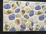 河北小地磚 防滑小地磚 (5)